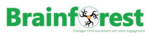 Logo-Brainforest